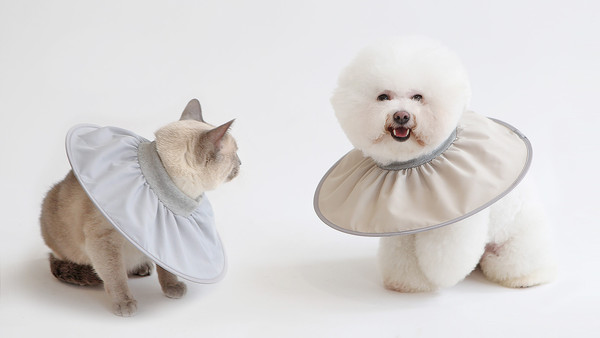 펫인뷰티가 새롭게 출시한  넥카라(사진=펫인뷰티)