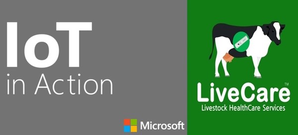 유라이크코리아, ‘MS IoT in Action’ 뉴질랜드 행사 참가