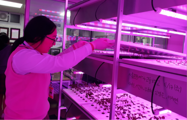 스마트팜 농업기업 해피팜 체험학습교육에 참가한 학생이 수경재배시설을 참관하고있다. /사진= 해피팜협동조합 홈페이지 갈무리