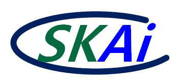 스카이칩스 로고 [스카이칩스 제공]