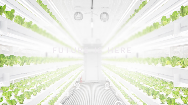 엔씽은 모듈형 컨테이너 스마트팜 '플랜티큐브'를 개발한 애그리테크 스타트업이다. / 사진=엔씽