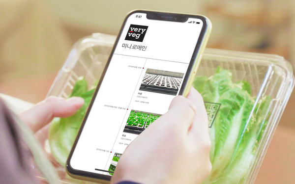 모듈현 스마트팜 '플랜티큐브'를 운영하는 엔씽은 자체 개발한 기술을 통해 고객이 원하는 농작물을 제배하고 판매한다. / 사진=엔씽
