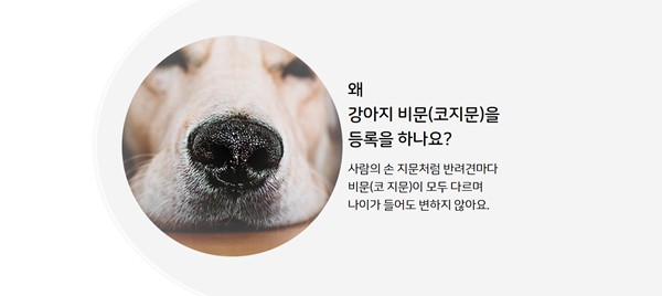 펫나우는 유실·유기견을 방지하기 위한 모바일 애플리케이션을 개발하고 서비스하는 펫테크 스타트업이다. / 사진=펫나우 