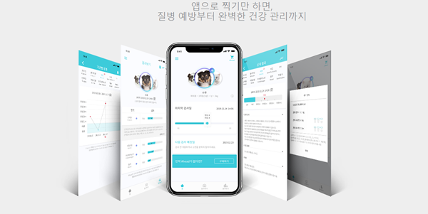 핏펫은 소변으로 반려동물의 건강을 판단하는 진단키트 '어헤드'를 서비스하는 펫테크 스타트업이다. / 사진=핏펫