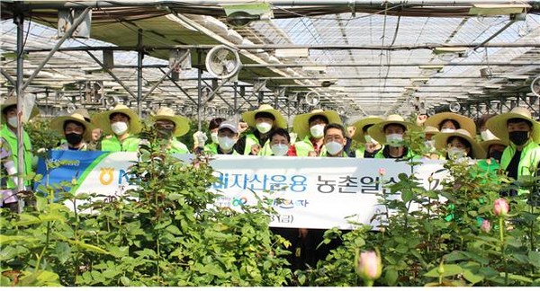 NH-아문디(Amundi)자산운용이 장미농가를 방문해 일손돕기에 나섰다. 사진=NH-아문디자산운용 제공