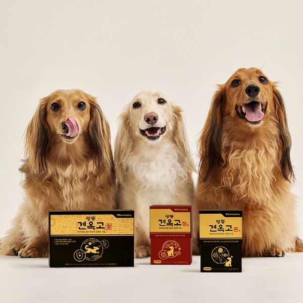광동제약이 천연물 소재로 만든 프리미엄 반려견 영양제 ‘견옥고 본(本)’과 ‘견옥고 장(匠)’을 출시했다. 사진=광동제약 제공