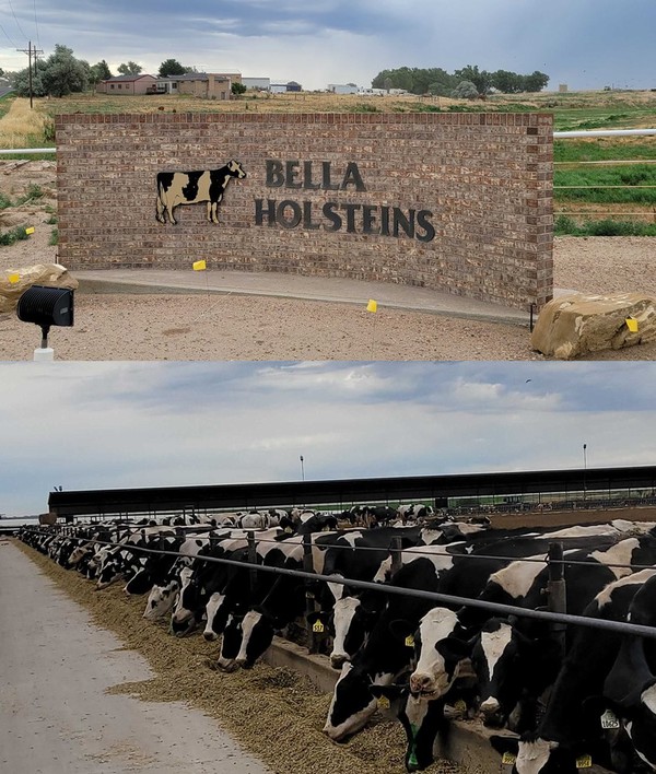 미국 ‘벨라 홀스테인’(Bella Holstein)농장 전경/사진제공=유라이크코리아