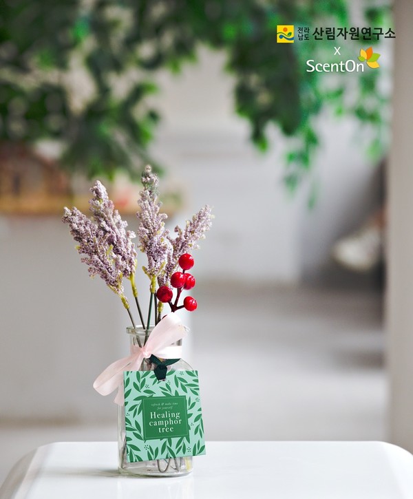 생달나무 시그니처 향 ‘힐링 캄파트리’로 만든 향기 제품 선보여/사진제공=센트온