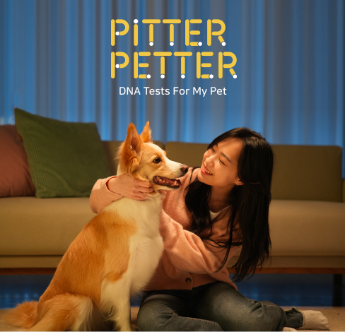 반려동물 유전자 검사 서비스 스타트업 피터페터, 프리A 투자 유치