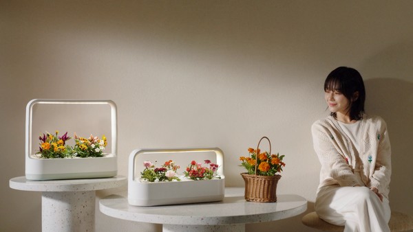 LG전자가 고객들이 틔운 미니에 원하는 씨앗을 심고 반려식물 생활을 즐길 수 있는 ‘틔운 미니용 나만의 키트 패키지’를 공개했다. 사진은 틔운 미니 인테리어컷.