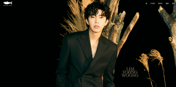 /사진=임영웅 소속사 물고기뮤직