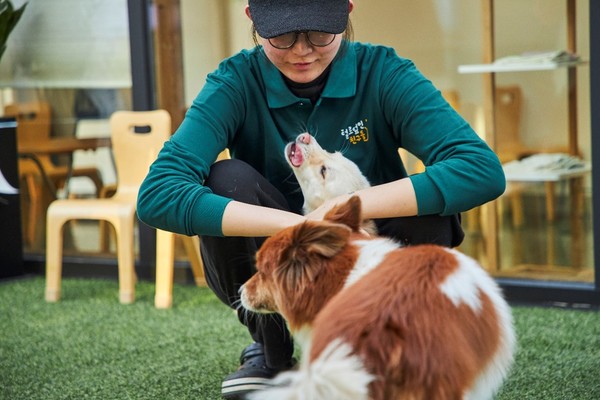 커멍그라운드에 방문한 반려인과 반려견/사진=털로덮인친구들