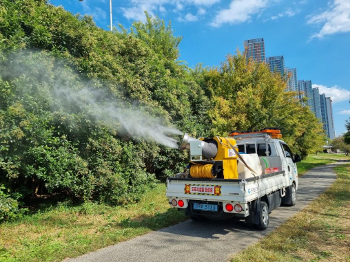 수목방제 / 사진 = 광주광역시