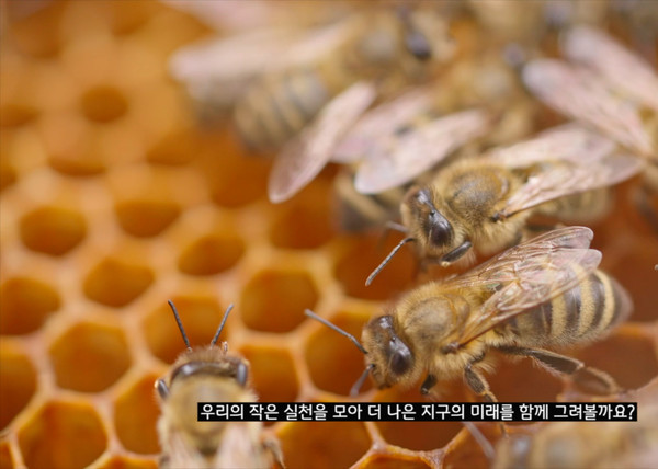 이번 한국어 영상의 주요 장면/사진=서경덕