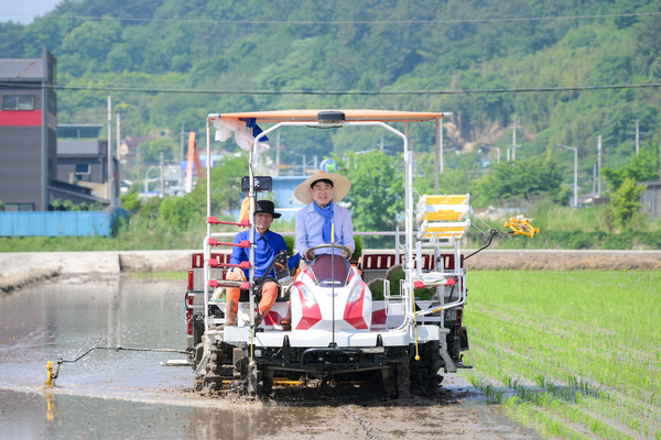 논아트 모내기 / 사진 = 순천시