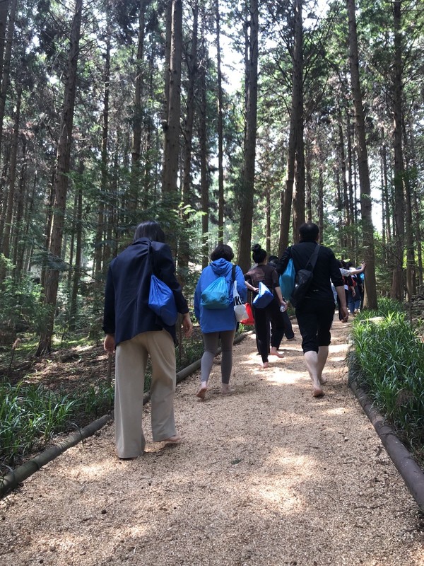 힐링프로그램 / 사진 = 장흥군