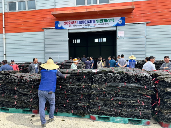 명품 건다시마 위판장 / 사진 = 고흥군