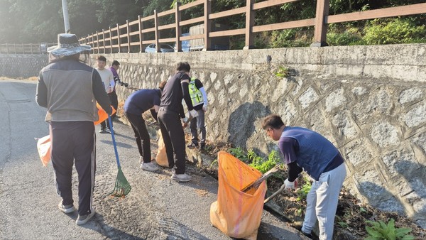 환경정화 활동 / 사진 = 담양군