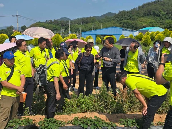 대만고구마연합회 현장견학 / 사진 = 해남군