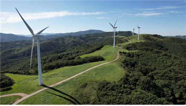 ▲강원풍력발전 발전단지 전경사진/사진제공=IBK기업은행