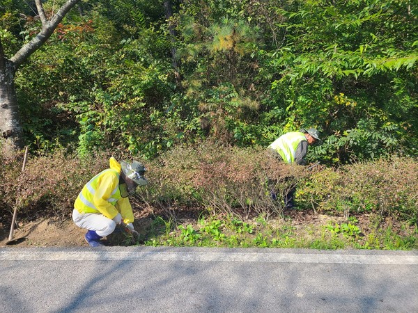 공공근로 / 사진 = 나주시