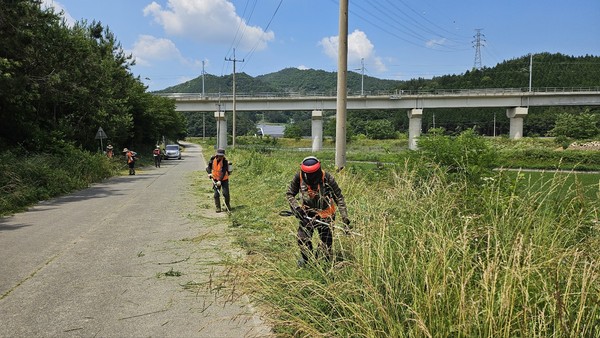 보성읍 주요 도로변 풀베기활동 / 사진 = 보성군
