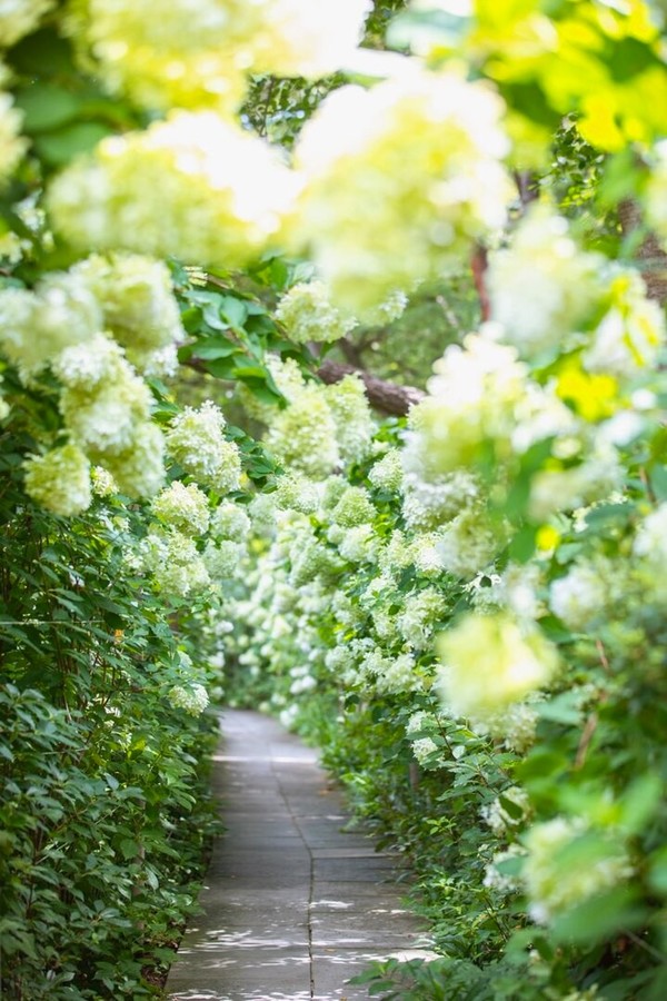 제2호 민간정원 / 사진 = 담양군