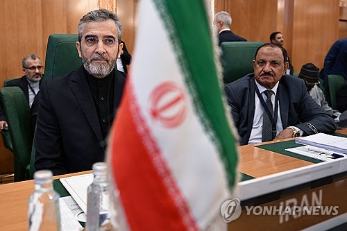 이슬람협력기구(OIC) 긴급회의에 참석한 알리 바게리 이란 외무장관 대행/사진=AFP 연합뉴스