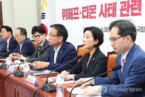 발언하는 최상목 경제부총리/사진=연합뉴스