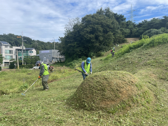농협 관계자들이 추석을 앞두고 벌초작업을 하고 있다./사진=NH농협중앙회 