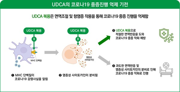 ▲ UDCA의 코로나19 감염 예방 기전/사진=대웅제약