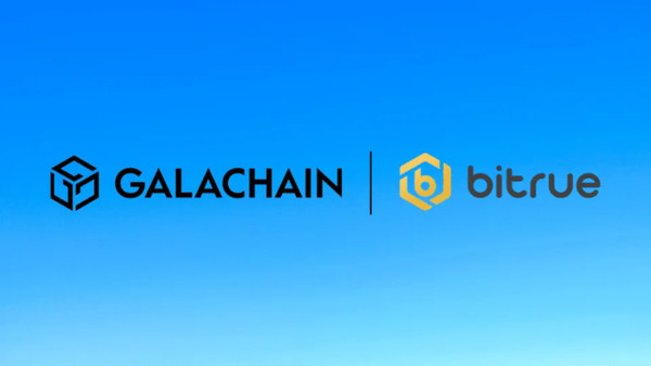 갈라체인x비트루/사진=갈라