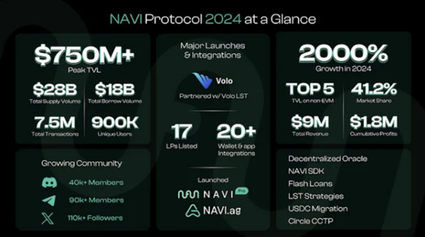 나비 프로토콜의 2024년 주요 성과 요약. /사진=나비 프로토콜