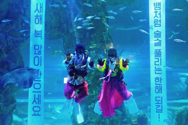 새해 인사 나누는 아쿠아리스트/사진=롯데