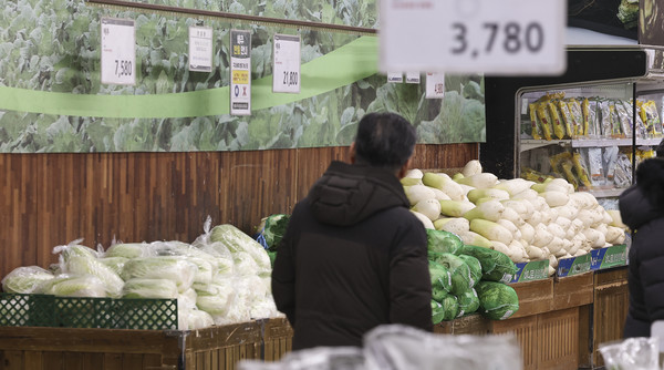 떨어지지 않는 무·배추 가격/사진=연합뉴스