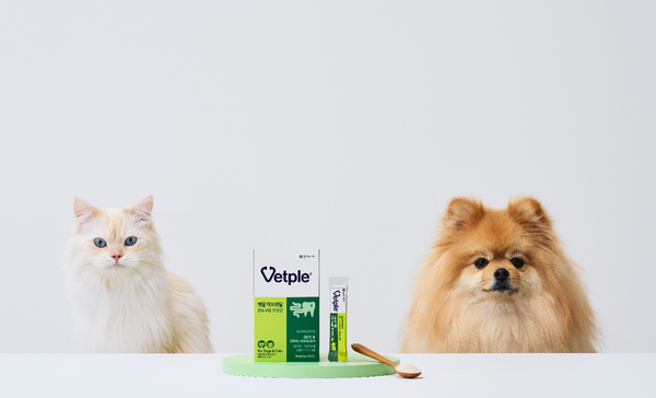 동아제약,반려동물 장&구강 건강 유산균 '벳플 락토덴탈" 출시/사진=동아제약