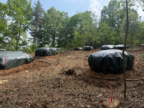 방제 작업 (사진제공 = 보성군)