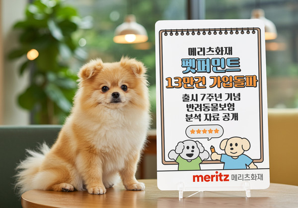 /사진=메리츠화재