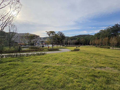 지양숲공원 잔디광장/ 사진=양천구 제공