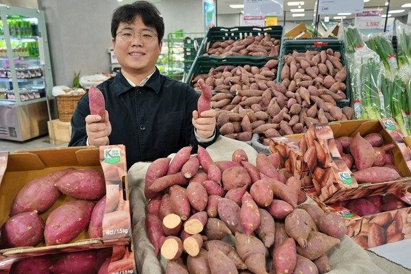 권상문 MD(상품기획자)가 서울 송파구에 위치한 롯데마트 제타플렉스 잠실점 채소 코너에서 국산 품종 ‘호풍미 고구마’를 홍보하고 있다./사진=롯데마트