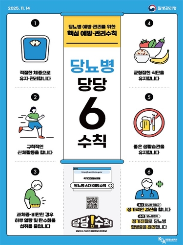 당뇨병 예방관리수칙/ 포스터=보건복지부 제공
