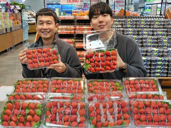 무(無)라벨 설향 딸기/사진=롯데마트