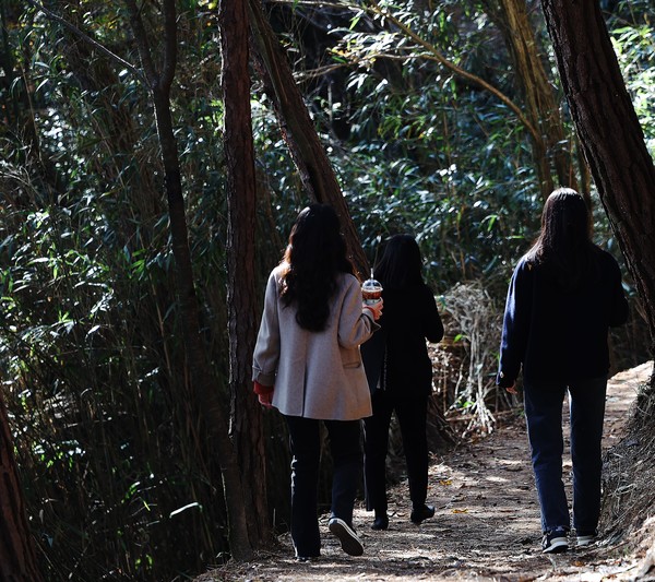 기산봉 힐링 숲길 (사진제공=함평군)